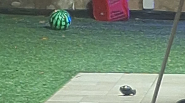 הרימון שלא התפוצץ (צילום: דוברות המשטרה)