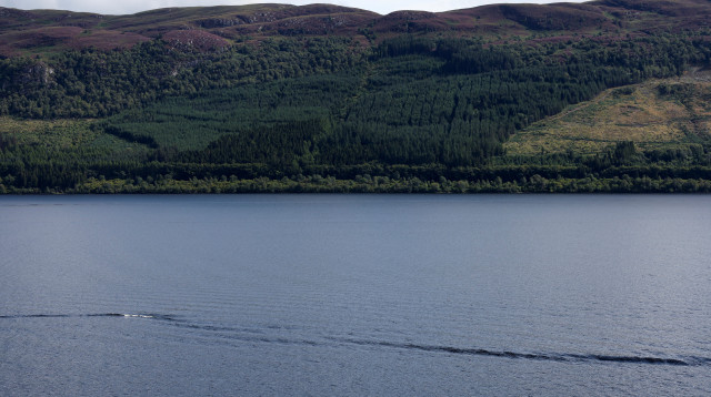 אגם לוך, סקוטלנד (צילום: רויטרס)