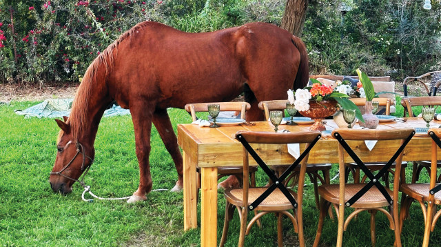 קפה פלורה (צילום: יחצ)