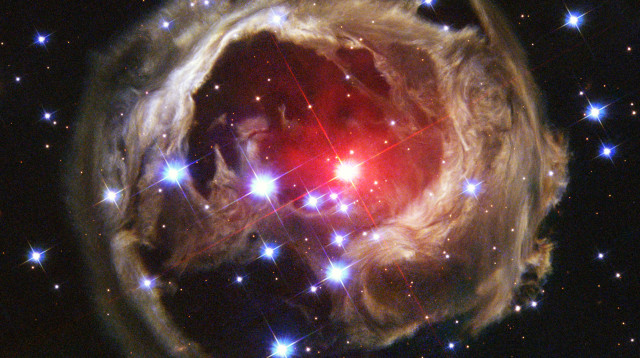 "נובה" (צילום: רויטרס)