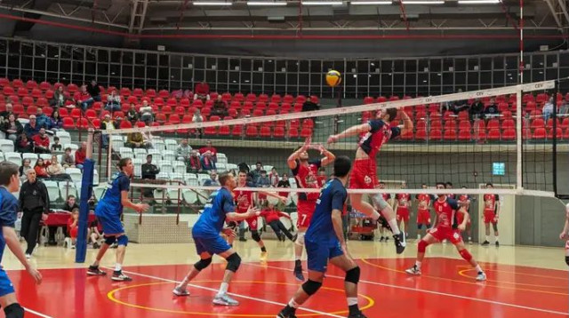  (צילום: אתר רשמי, איגוד הכדורעף)