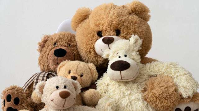 דובי ענק - מתנה מרשימה ליום הולדת, ללידה או ליום נישואין (צילום: FREEPIK)