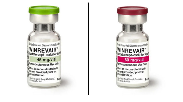 סוטטרספט (צילום: מרק)