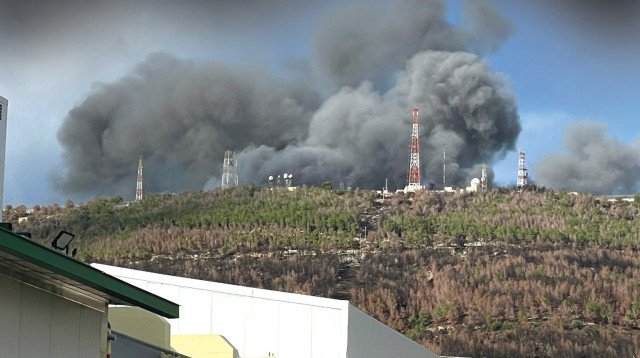 מפעל זוגלובק בשלומי במלחמה (צילום: יחצ)