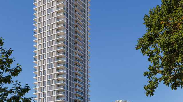 פרויקט רש"י ICR (צילום: אלכס לובימוב)