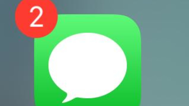 SMS (צילום: צילום מסך)