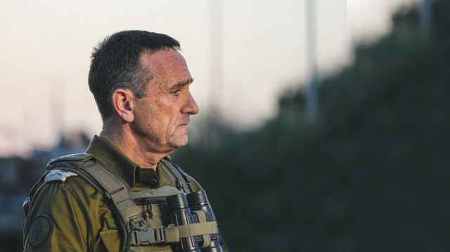 הרצי הלוי (צילום: פלאש 90)