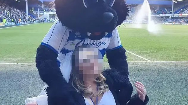 יש לו מובים. החתלתול (צילום: צילום מסך, מתוך הרשתות החברתיות)