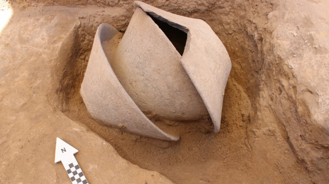 כלי השנהב השבור הוטמן בתוך קערות בזלת גדולות (צילום: דוידה דגן, רשות העתיקות)