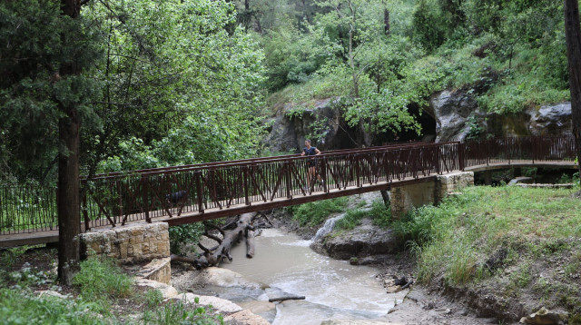 נחל השופט (צילום: אלכס קולומויסקי, מערך ההסברה קק״ל)