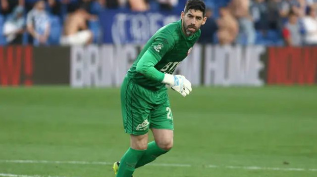 הרמן בכוננות. לויטה (צילום: שלומי גבאי)