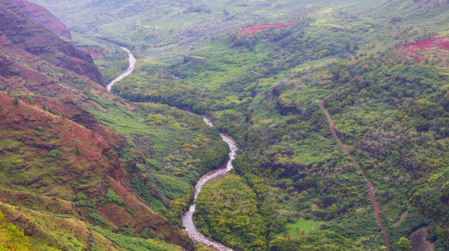 הוואי (צילום: אינגאימג')