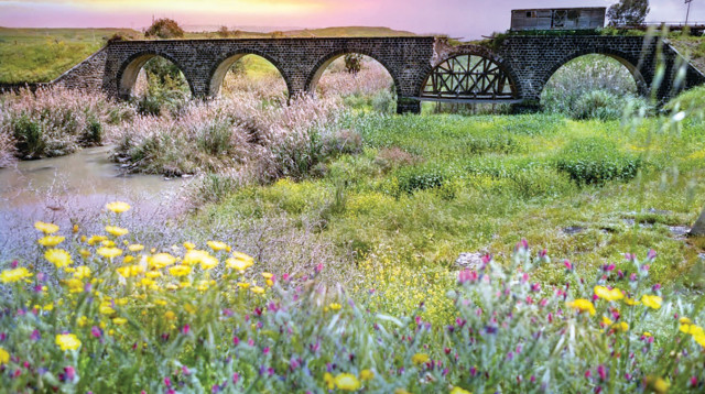 נהריים בגשר (צילום: נהריים בגשר)