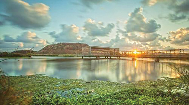 פארק אקולוגי הוד השרון (צילום: אסף פרידמן)