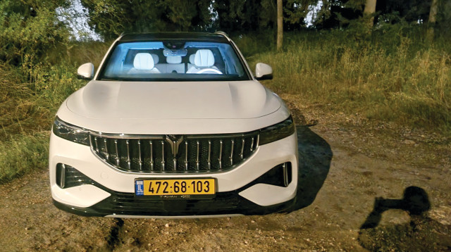 וויה פרי (צילום: אודי עציון)