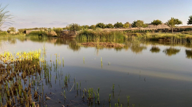 האגם בפארק אריאל שרון (צילום: איציק לביא)