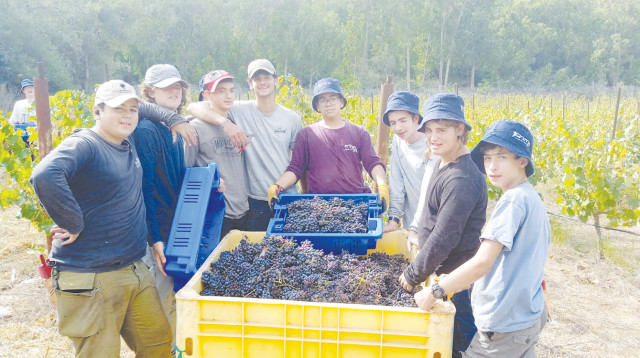 אנשים בכרם (צילום: מאיר צורי)