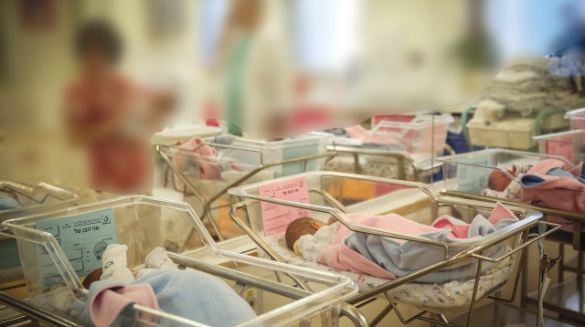 תינוקות בתינוקיה (צילום: הדס פרוש פלאש 90)