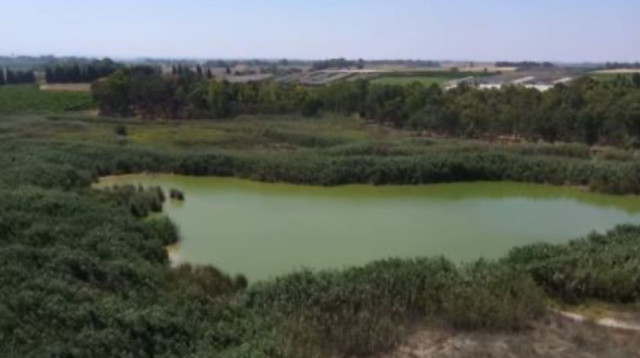 עינות גיבתון (צילום: רשות מקרקעי ישראל)