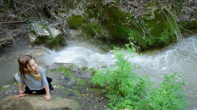 נחל גחר (צילום: Chen Leopold/Flash90)