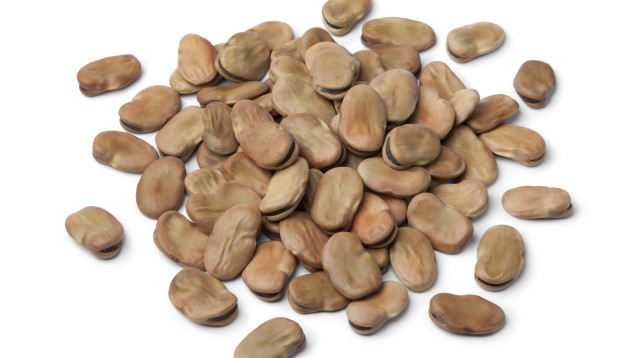 כל היתרונות שיש בפול ולא הכרנו (צילום: אינג'אימג')