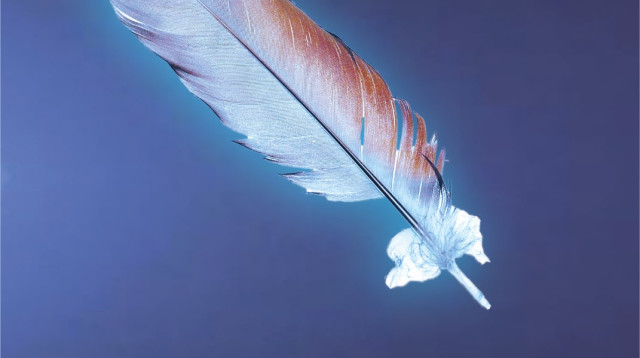 עטיפת הספר (צילום: יח"צ)