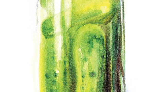 מלפפונים חמוצים (צילום: נעמי ליס-מיברג)