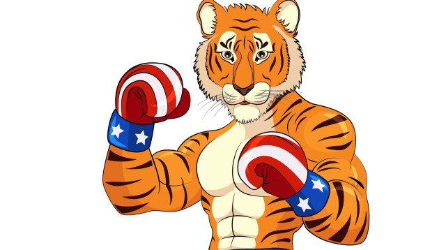 קידום אתרים עם חברת SeoRocky להילחם עבורכם ברשת! (צילום: SeoRocky)