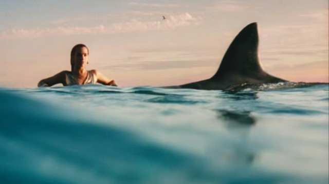 דואה ליפה חוזרת. עטיפת האלבום Radical Optimism (צילום: באדיבות Warner Music Israel / וורנר מיוזיק ישראל)