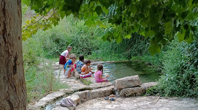 נריה אנטמן (צילום: נריה אנטמן)
