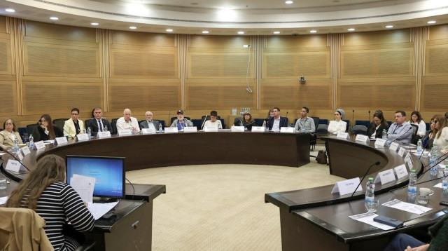 דיון מיוחד בכנסת  (צילום: דני שם טוב, דוברות הכנסת)