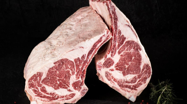 טומהוק נברסקה (צילום: אנטולי קרינצקי)