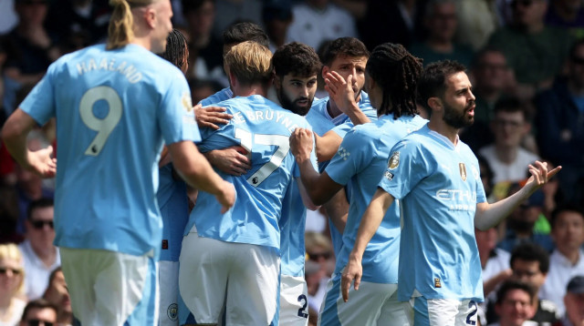 שחקני מנצ'סטר סיטי חוגגים עם יושקו גברדיול (צילום: רויטרס)