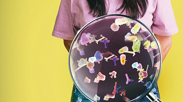 מעיים (צילום: באדיבות נטפליקס)