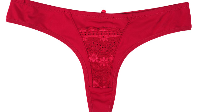 הלם: זה מה שאותר בבטנו של הכלב שחשף את הבגידה של הבעל (צילום: אינג'אימג')