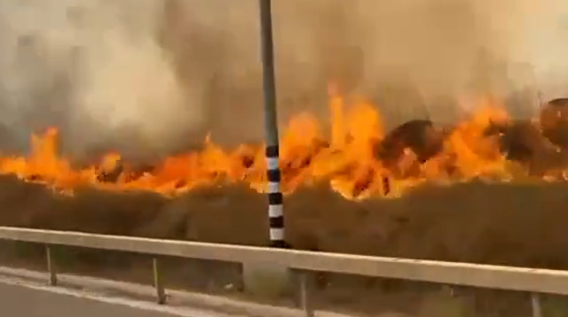 שריפה פרצה סמוך לקרית שמונה  (צילום: שימוש לפי סעיף 27א')