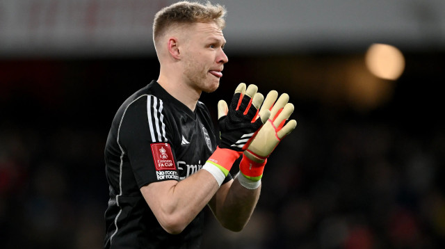 ארון רמסדייל, שוער ארסנל (צילום: GettyImages, Shaun Botterill)