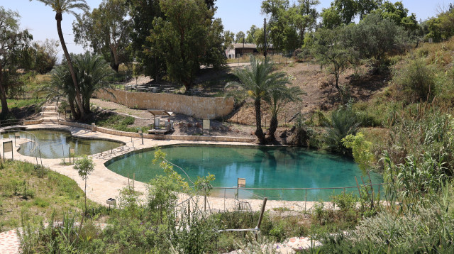 עין הנצי"ב (צילום: שי אייזקס, רשות הטבע והגנים )