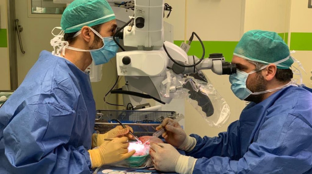 השתלת הכלייה (צילום: דוברות הדסה)