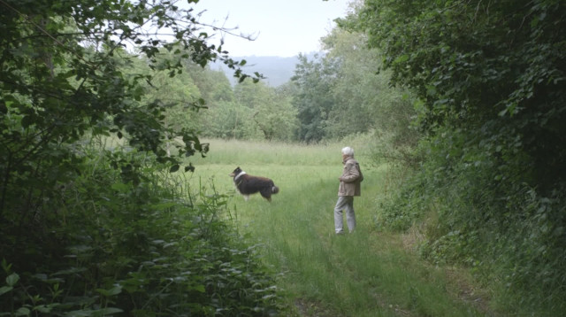 האחו הקטן (צילום: אבנר פיינגלרנט)