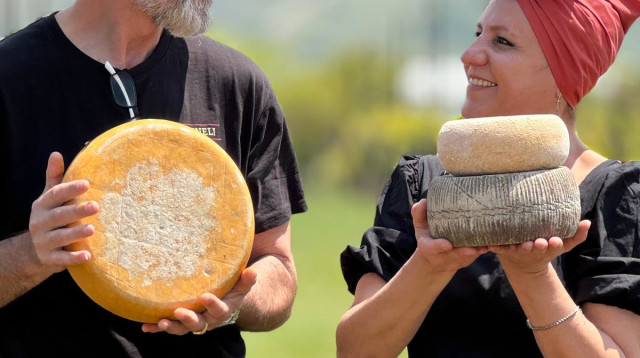 גרינלי, רמת הגולן (צילום: נליה קומן)