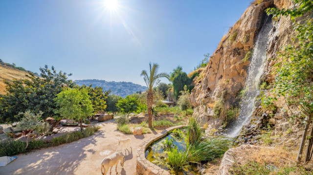 החווה בגיא (צילום: קובי הראתי)