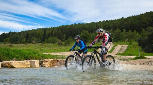 מסלול עין השופט (צילום: אילן שחם, ארכיון הצילומים של קק״ל)