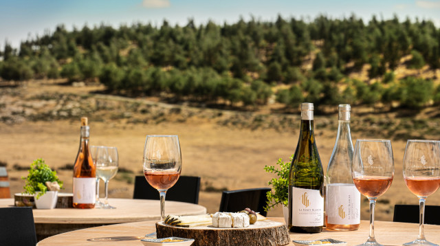 יקב לה פורה בלאנש (צילום: אנטולי קרינצקי)