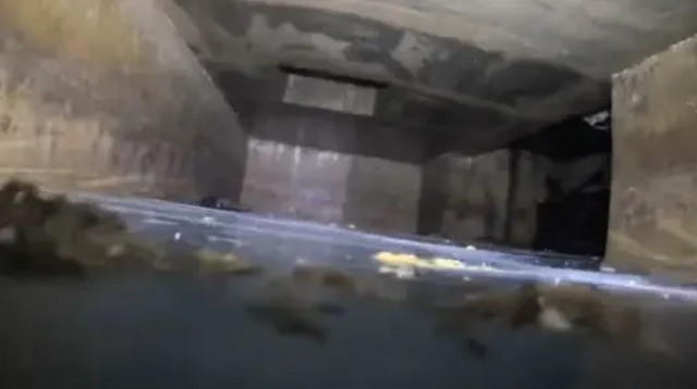 זה מה שבני זוג איתרו מתחת לביתם (צילום: מתוך טיקטוק)