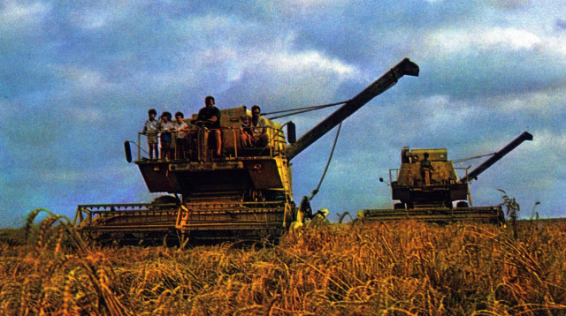 חג שבועות בקיבוץ נחל עוז (צילום: ארכיון קיבוץ נחל עוז)