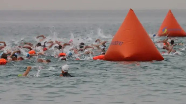  (צילום: שוונג)