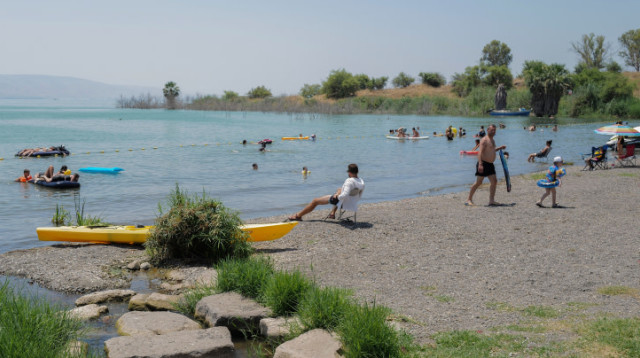 רוחצים בכנרת (צילום: מיכאל גלעדי, פלאש 90)