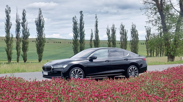 סקודה סופרב חדשה (צילום: סקודה העולמית)