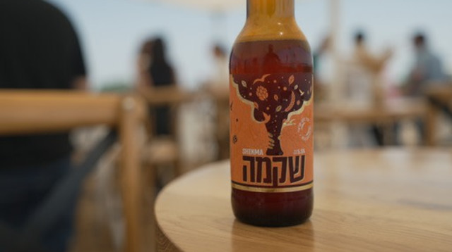 "שקמה" (צילום: יח"צ)